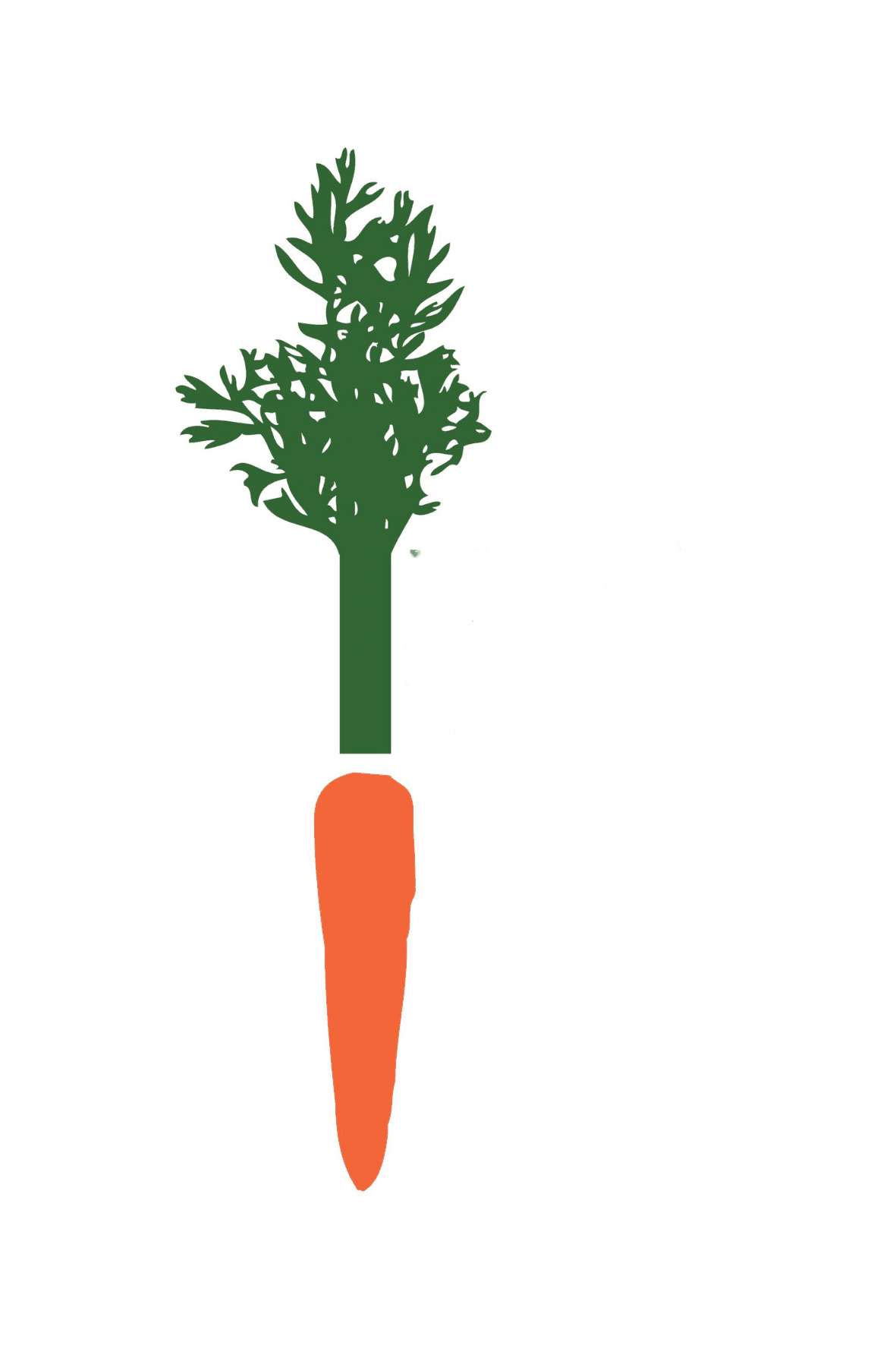 graphic orange carrot with green top